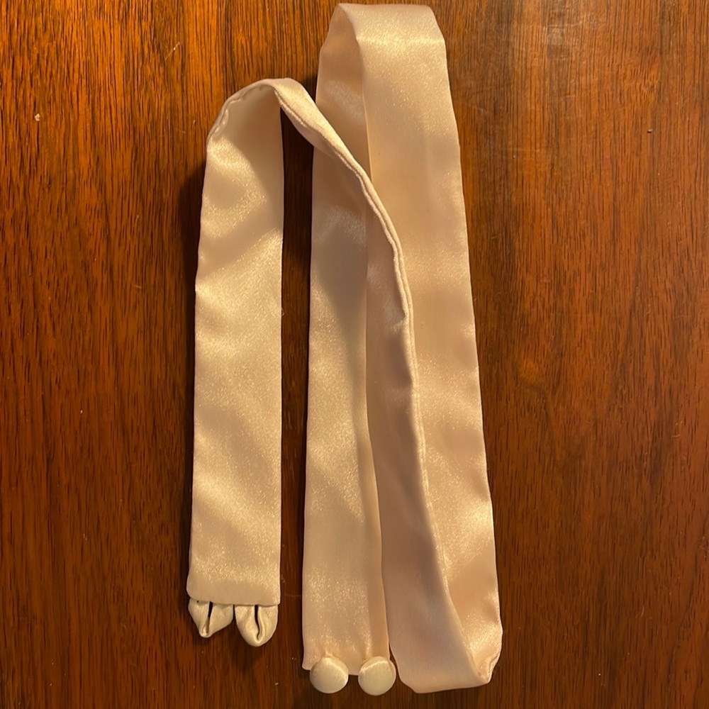 Anthropologie Brand Madeleine Fig Satin Belt